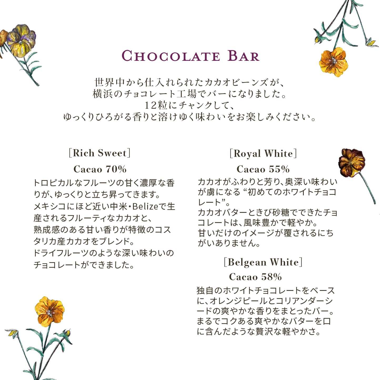 ティーレターCACAO | BelgianWhite