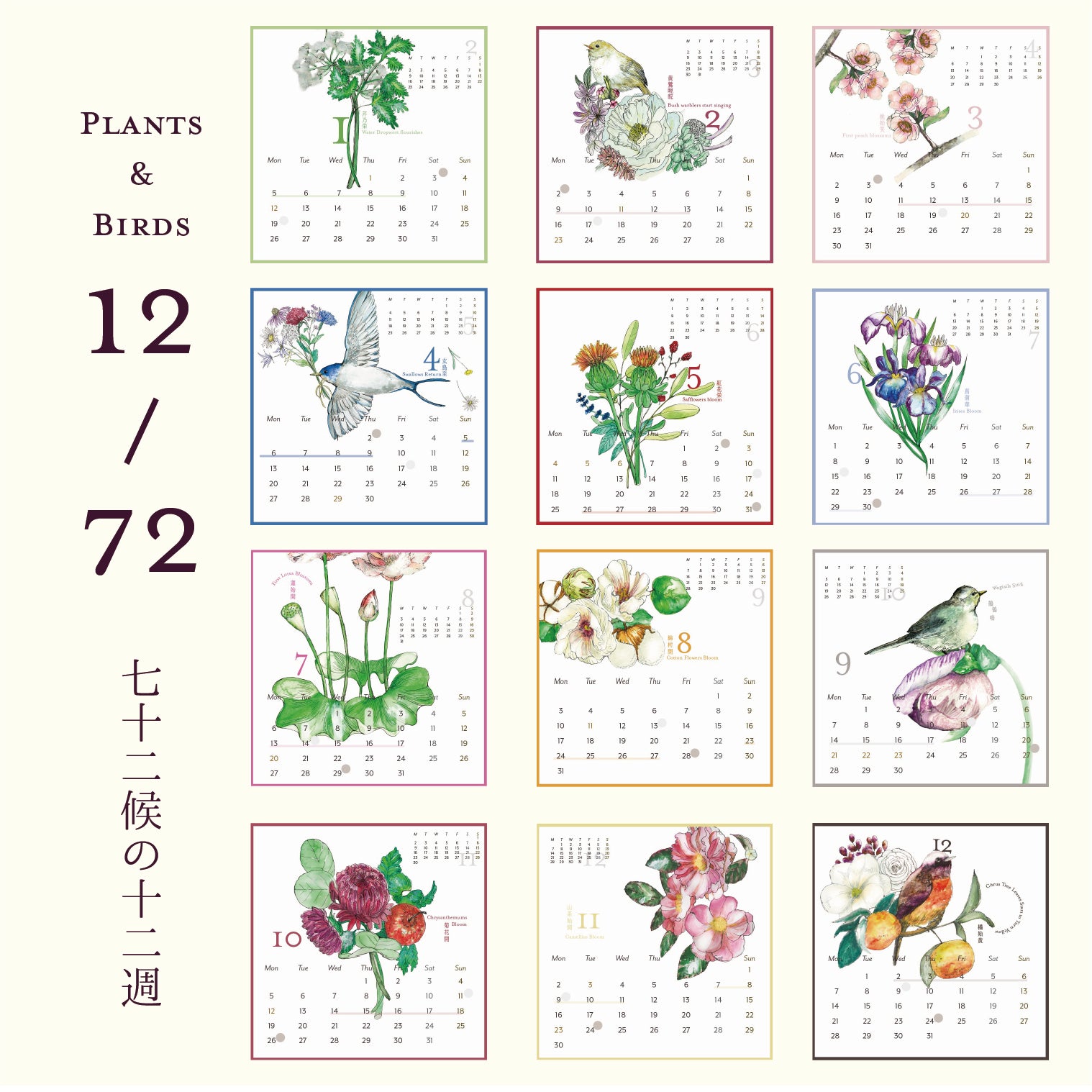 Pansie Pages - ページをめくれば、ひとときの世界が開かれます
